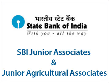 SBI Junior Associate Clerk Syllabus