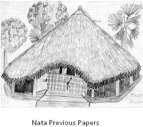 Nata Previous papers