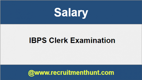 IBPS Clerk Salary