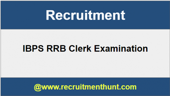 IBPS RRB Clerk Recruitment