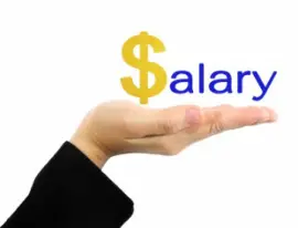 salary structure in india