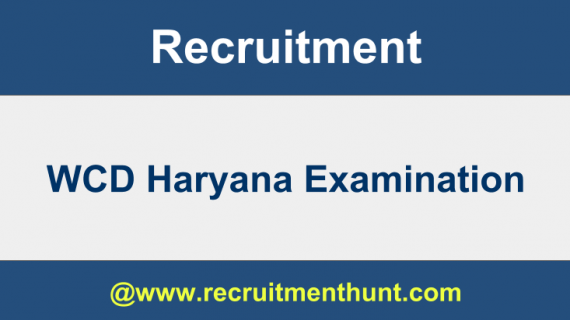 haryana anganwadi recruitment 2019